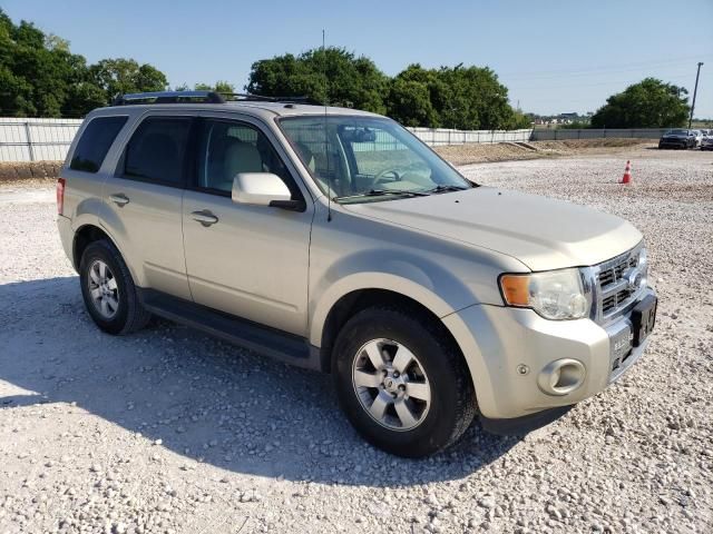 2012 Ford Escape Limited