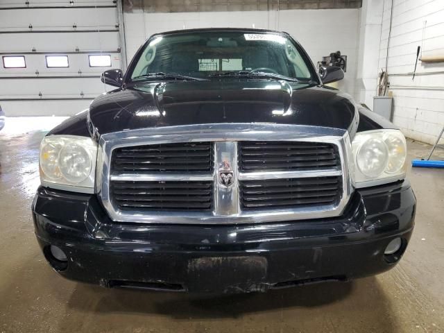 2005 Dodge Dakota SLT