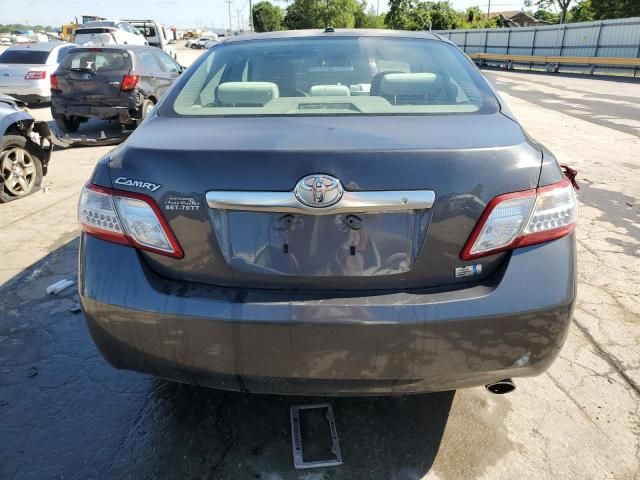 2010 Toyota Camry Hybrid