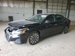 Salvage cars for sale at Des Moines, IA auction: 2024 Nissan Altima SV