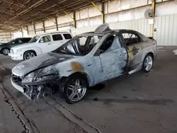 Salvage cars for sale at Phoenix, AZ auction: 2008 Acura TL