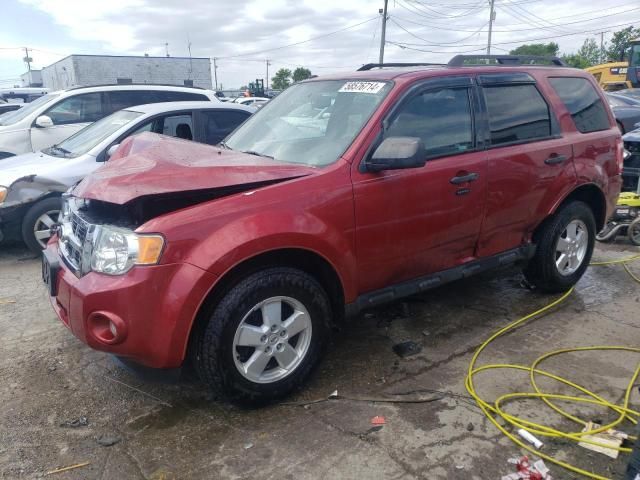 2012 Ford Escape XLT