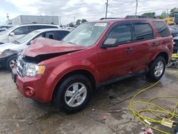 Salvage cars for sale from Copart Chicago Heights, IL: 2012 Ford Escape XLT