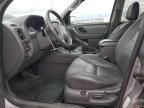 2007 Ford Escape HEV