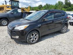 Salvage cars for sale at Memphis, TN auction: 2013 Ford Escape SEL