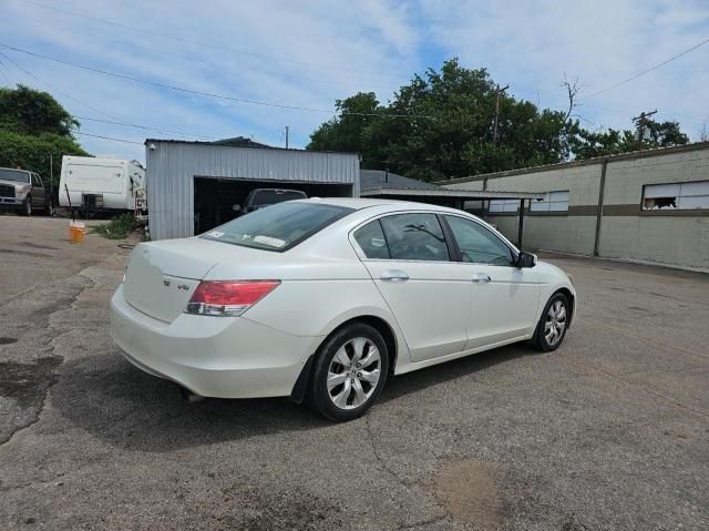 2010 Honda Accord EXL