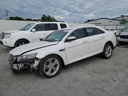 Salvage cars for sale at Albany, NY auction: 2017 Ford Taurus SEL