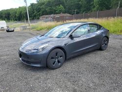 Salvage cars for sale at Baltimore, MD auction: 2023 Tesla Model 3