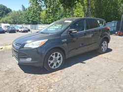 Salvage cars for sale at Portland, OR auction: 2013 Ford Escape SEL