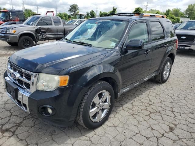 2010 Ford Escape Limited