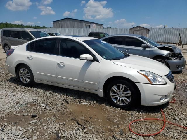 2010 Nissan Altima Base