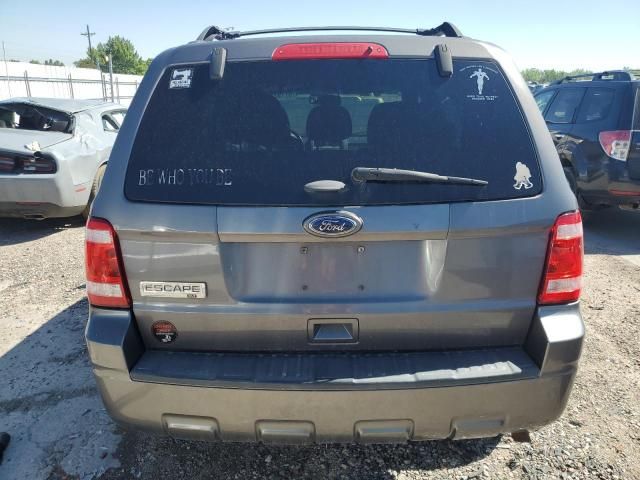 2011 Ford Escape XLT