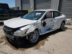 Salvage cars for sale at Memphis, TN auction: 2009 Nissan Maxima S