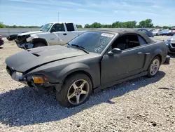 Ford Mustang Cobra svt Vehiculos salvage en venta: 2003 Ford Mustang Cobra SVT