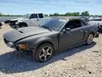 2003 Ford Mustang Cobra SVT