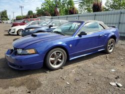 Salvage cars for sale at New Britain, CT auction: 2004 Ford Mustang GT