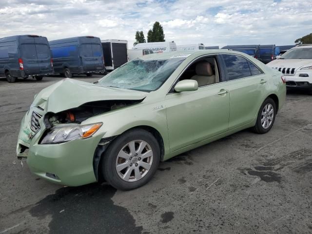 2009 Toyota Camry Hybrid