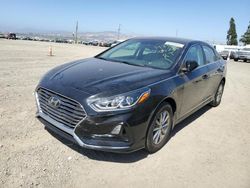 Salvage cars for sale at Vallejo, CA auction: 2019 Hyundai Sonata SE