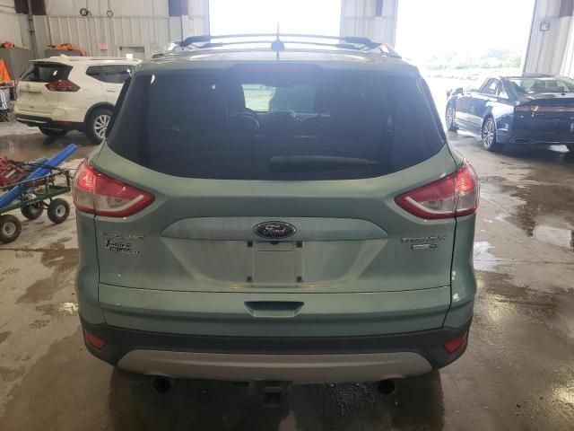 2013 Ford Escape Titanium