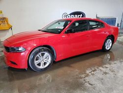 Carros dañados por inundaciones a la venta en subasta: 2023 Dodge Charger SXT