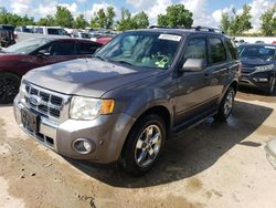 Salvage cars for sale at Bridgeton, MO auction: 2010 Ford Escape Limited