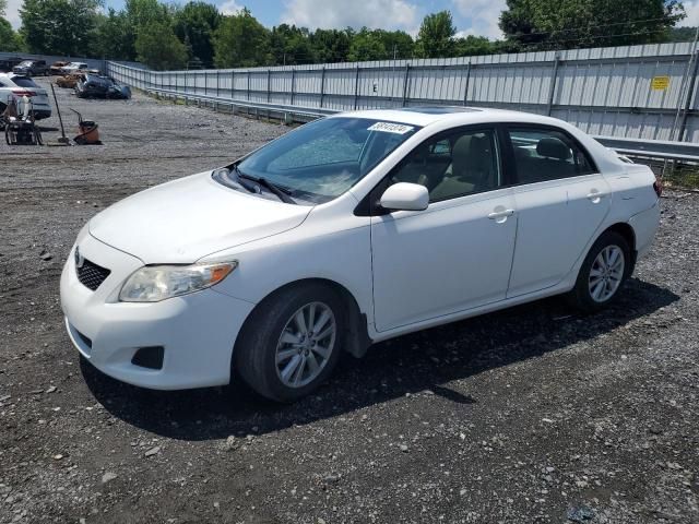 2010 Toyota Corolla Base