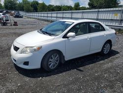 Salvage cars for sale at Grantville, PA auction: 2010 Toyota Corolla Base