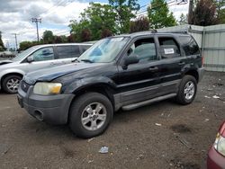 Ford Escape xlt Vehiculos salvage en venta: 2007 Ford Escape XLT