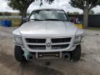 2011 Dodge Dakota SLT