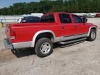 2003 Dodge Dakota Quad SLT