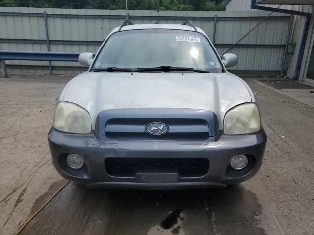 2005 Hyundai Santa FE GLS