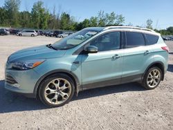 Salvage cars for sale at Leroy, NY auction: 2013 Ford Escape Titanium