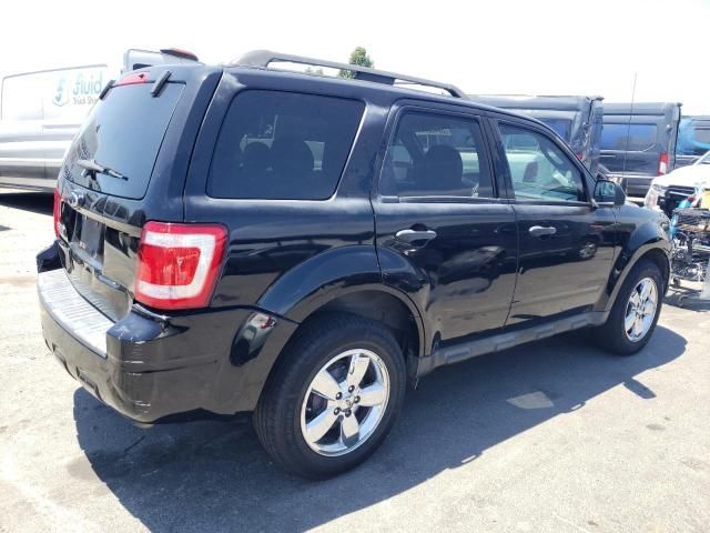 2009 Ford Escape XLT