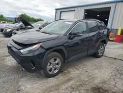 Salvage cars for sale from Copart Chambersburg, PA: 2023 Toyota Rav4 XLE