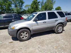 Ford salvage cars for sale: 2007 Ford Escape XLT