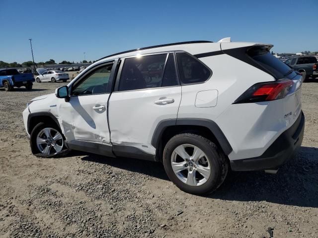 2019 Toyota Rav4 XLE