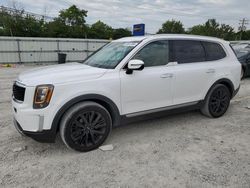 Salvage cars for sale at Walton, KY auction: 2022 KIA Telluride SX