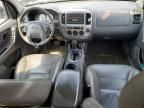 2005 Ford Escape XLT