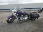 2005 Harley-Davidson Flstci