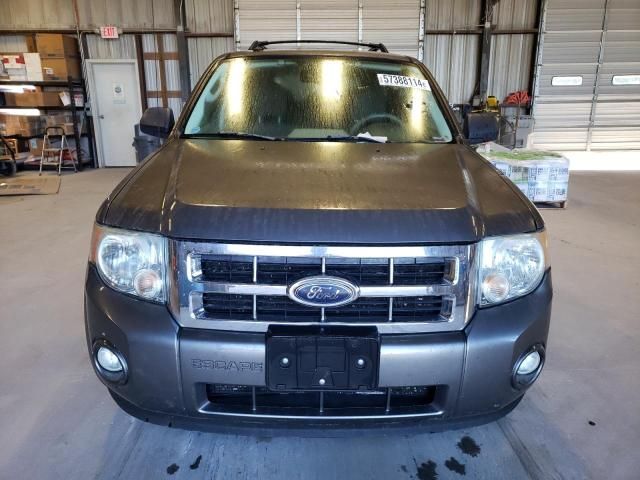 2009 Ford Escape XLT