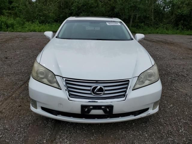 2010 Lexus ES 350