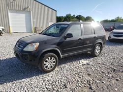 Salvage cars for sale from Copart Lawrenceburg, KY: 2005 Honda CR-V SE