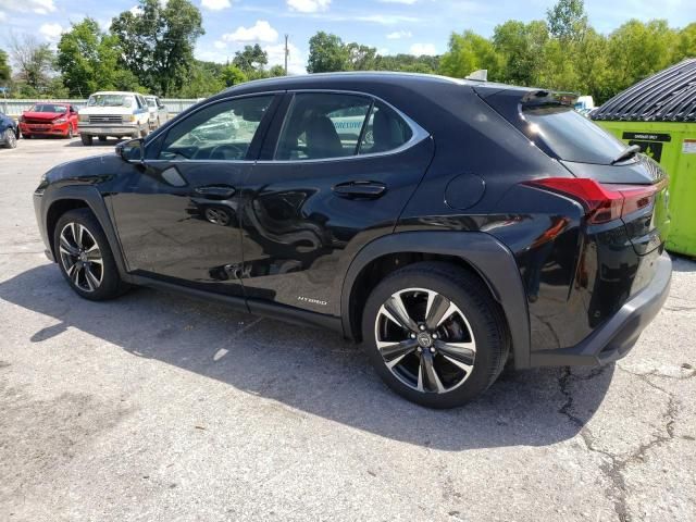 2019 Lexus UX 250H