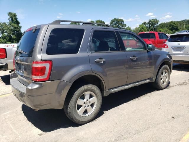 2009 Ford Escape XLT