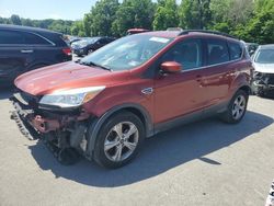 Salvage cars for sale at Glassboro, NJ auction: 2015 Ford Escape SE