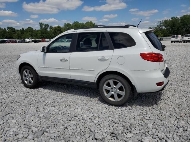 2009 Hyundai Santa FE SE