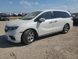 Honda salvage cars for sale: 2019 Honda Odyssey EXL