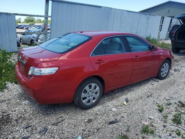 2010 Toyota Camry Hybrid