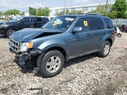 Salvage cars for sale at Franklin, WI auction: 2012 Ford Escape Limited