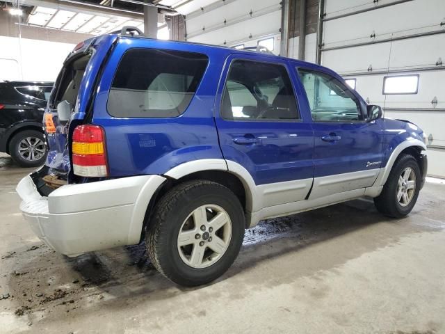 2006 Ford Escape HEV